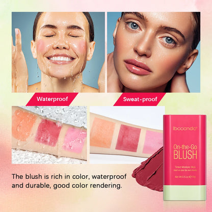 Make Up Blusher
